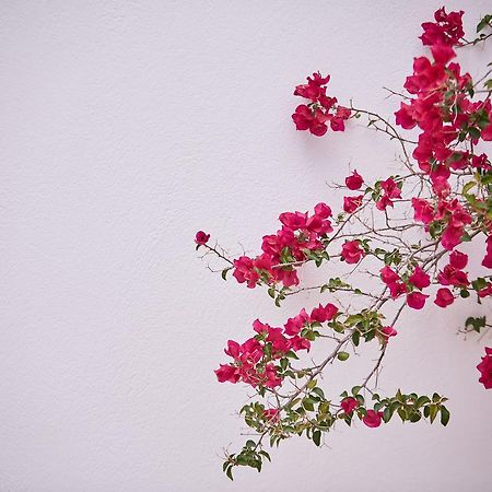 Spetses Retreat Accommodation Esterno foto