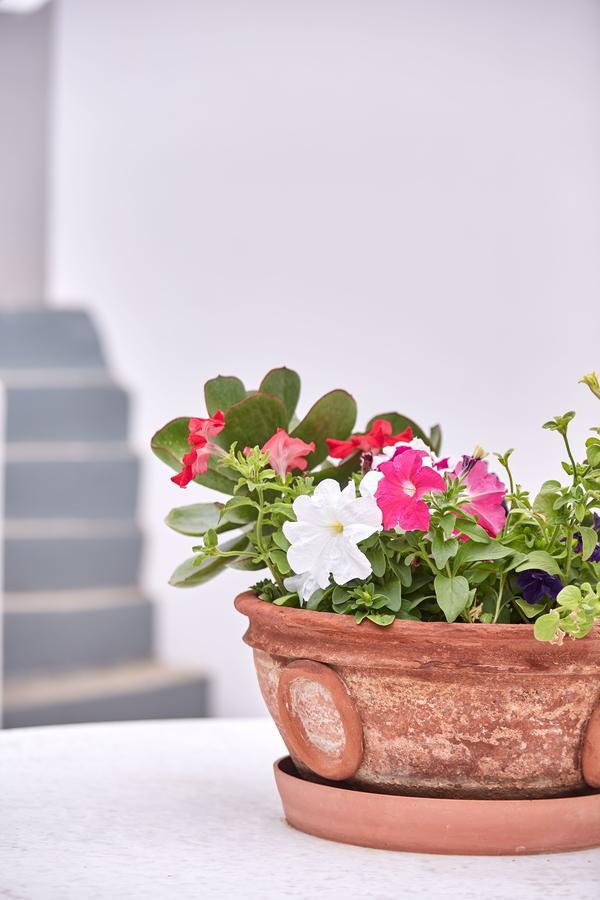 Spetses Retreat Accommodation Esterno foto
