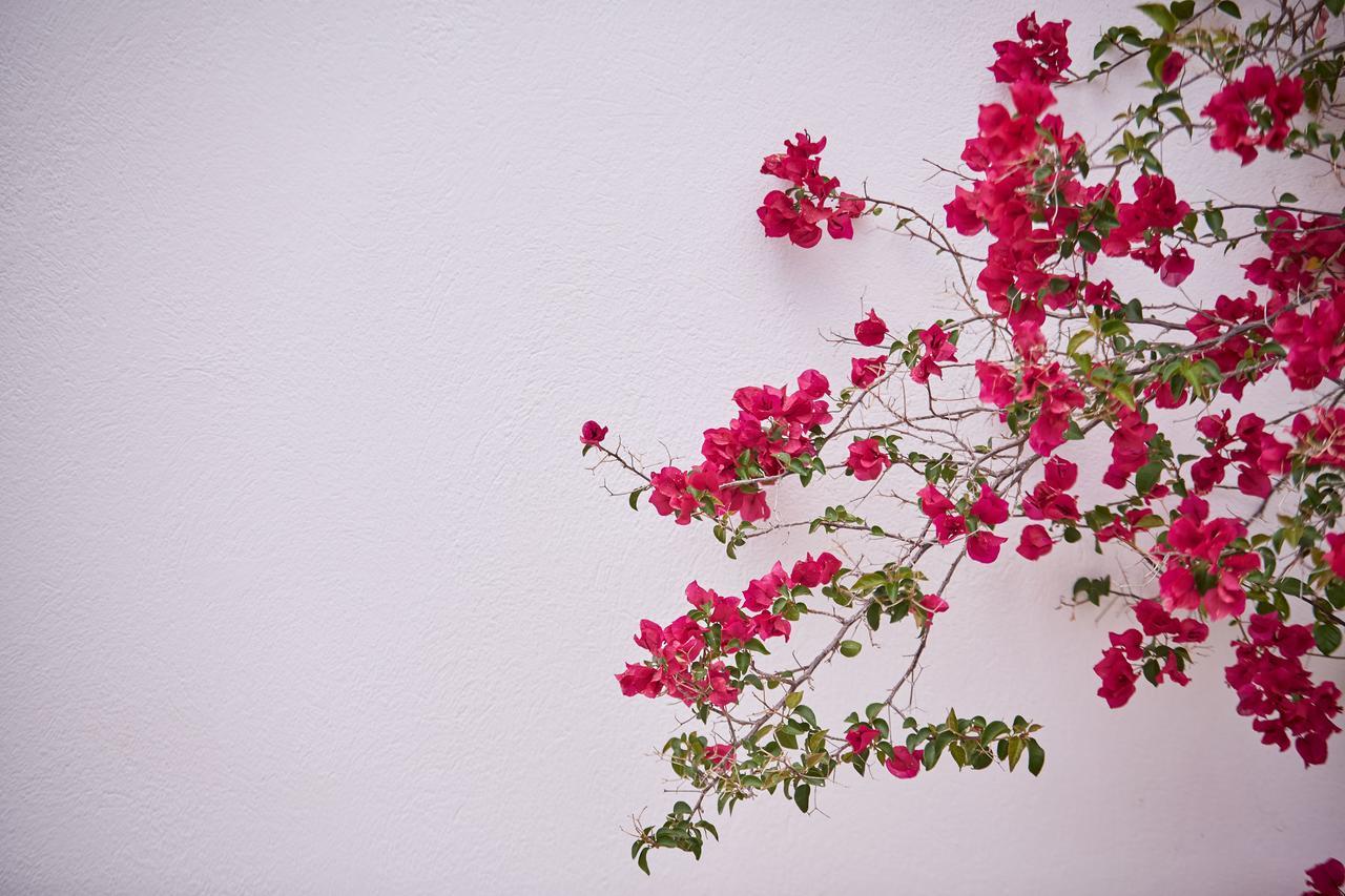 Spetses Retreat Accommodation Esterno foto