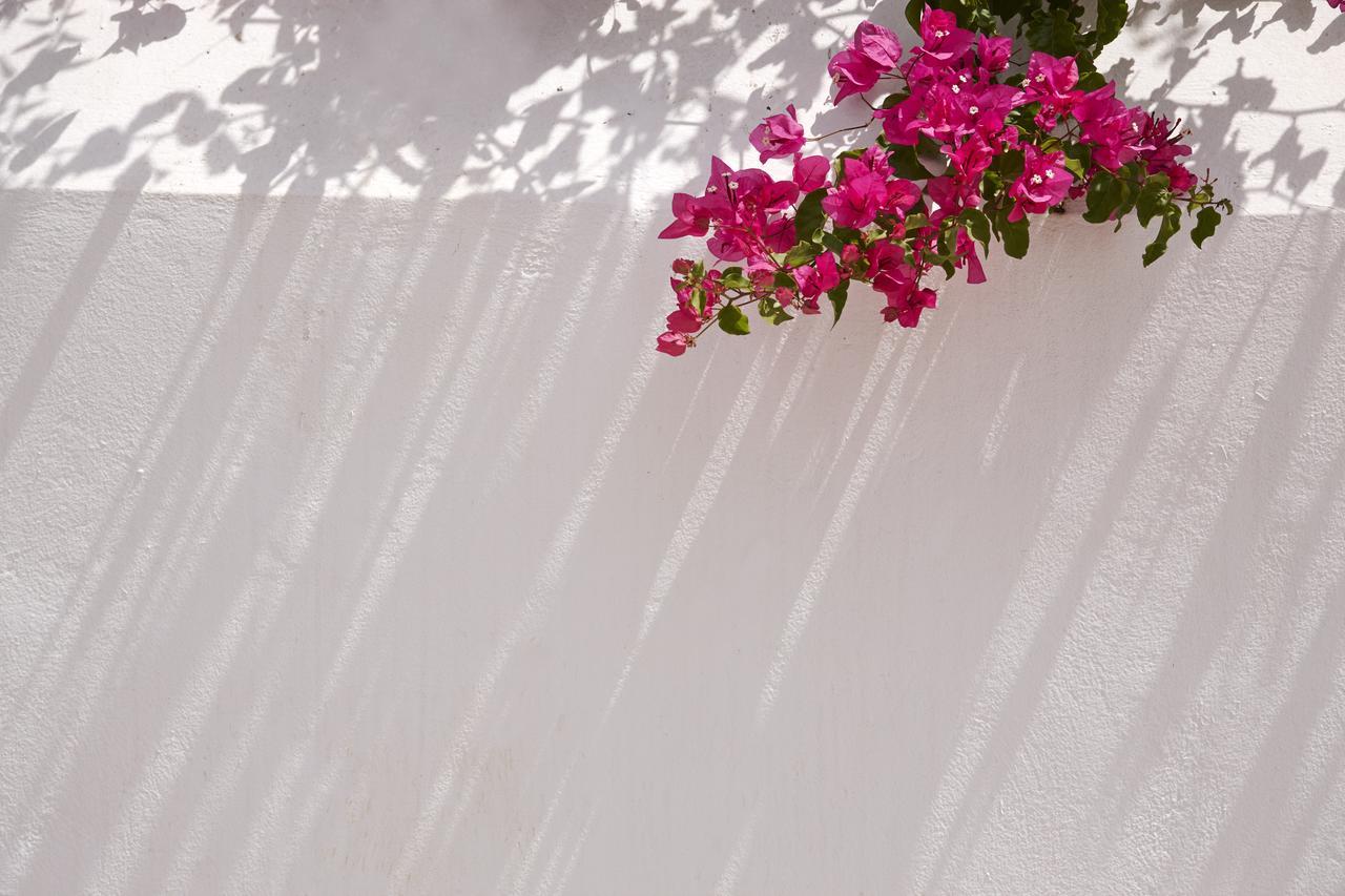 Spetses Retreat Accommodation Esterno foto